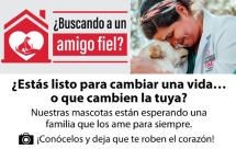 ADOPTA UNA MASCOTA