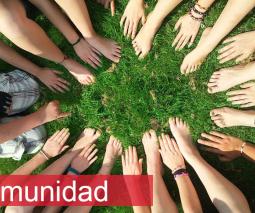 circulo de manos y pies sobre la grama