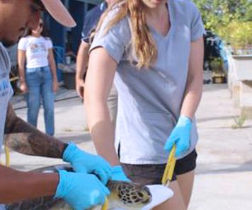 Egresado se abre camino profesional en la enfermería veterinaria en St. Thomas