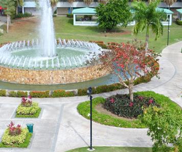 view of gurabo campus