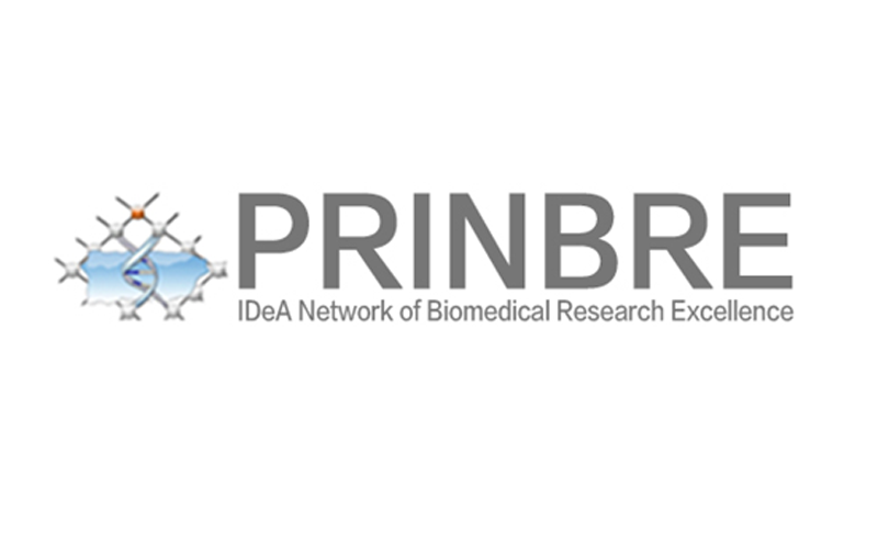 logo de PRINBRE