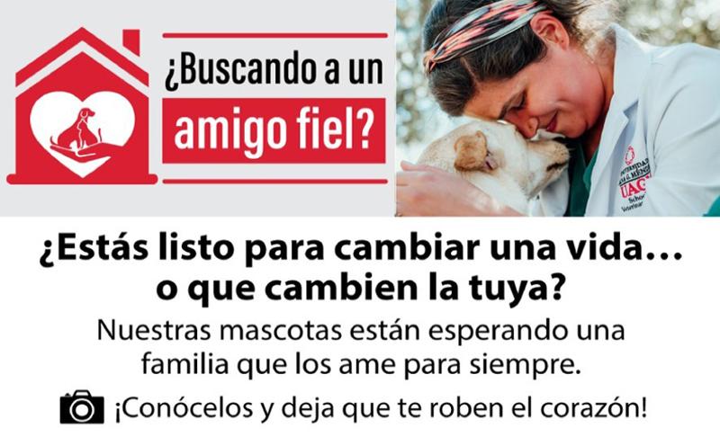 Mujer abrazando un perro