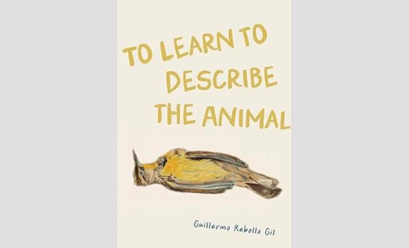 Portada de libro
